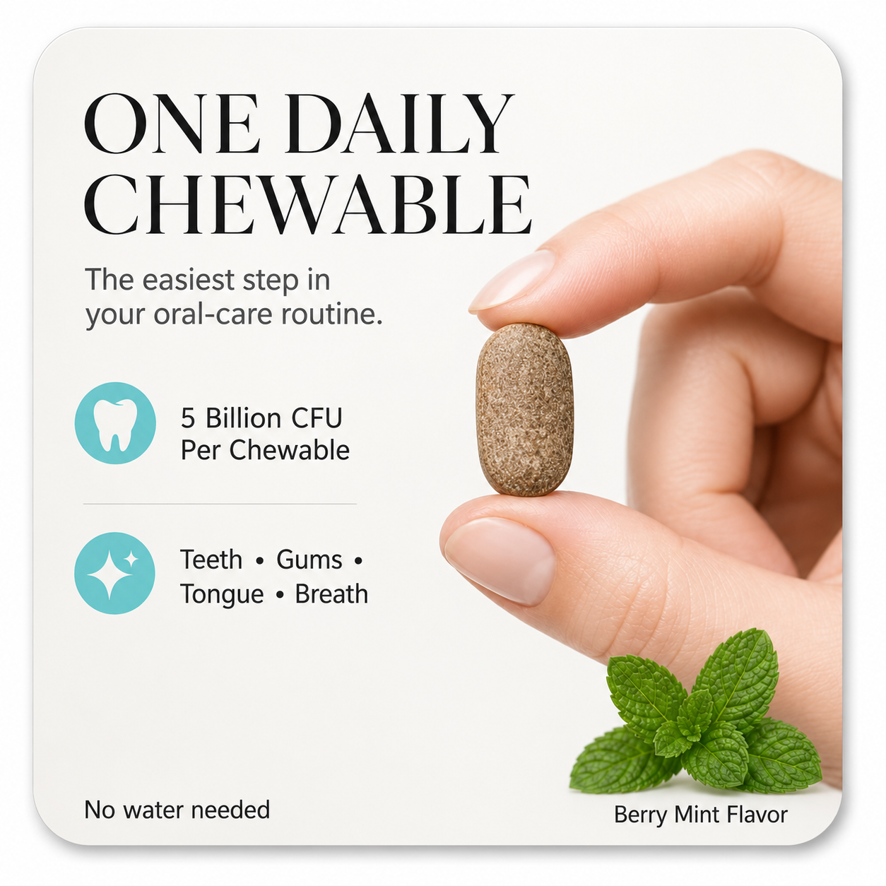 One daily DentaPro chewable tablet held between two fingers